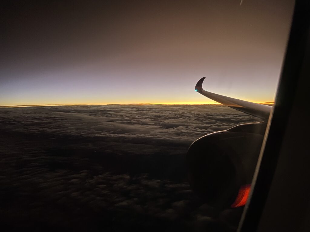 Plane - sunset